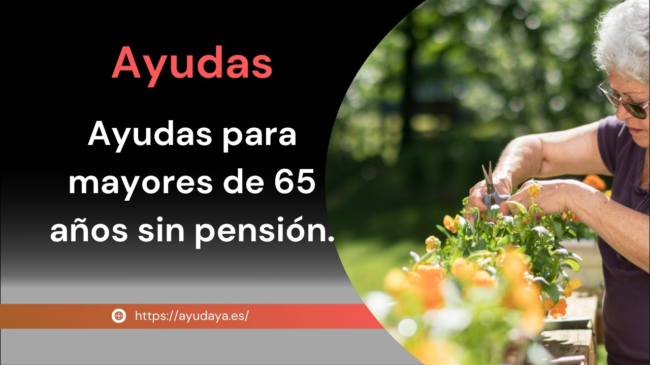 Ayudas para mayores dde 65 años que no tienen derecho a pensión por jubilación