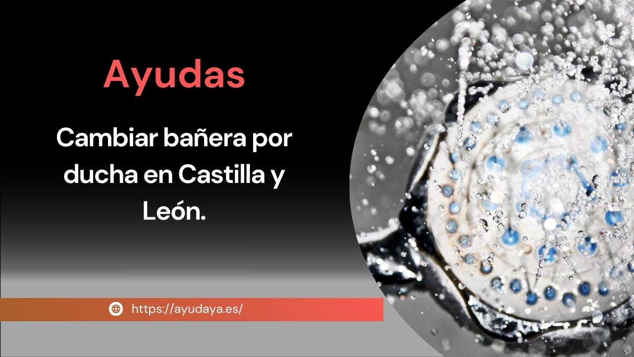 Cambiar bañera por ducha en castilla y leon ayudas