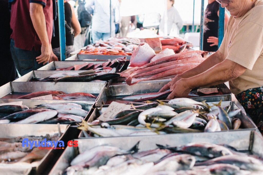  Ayudas para Pescaderias en España